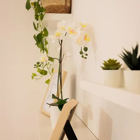 Pothos 아파트